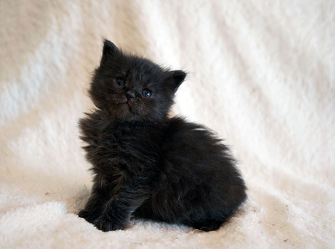 Penelope am 6. April 2025